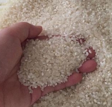 变质大米销毁